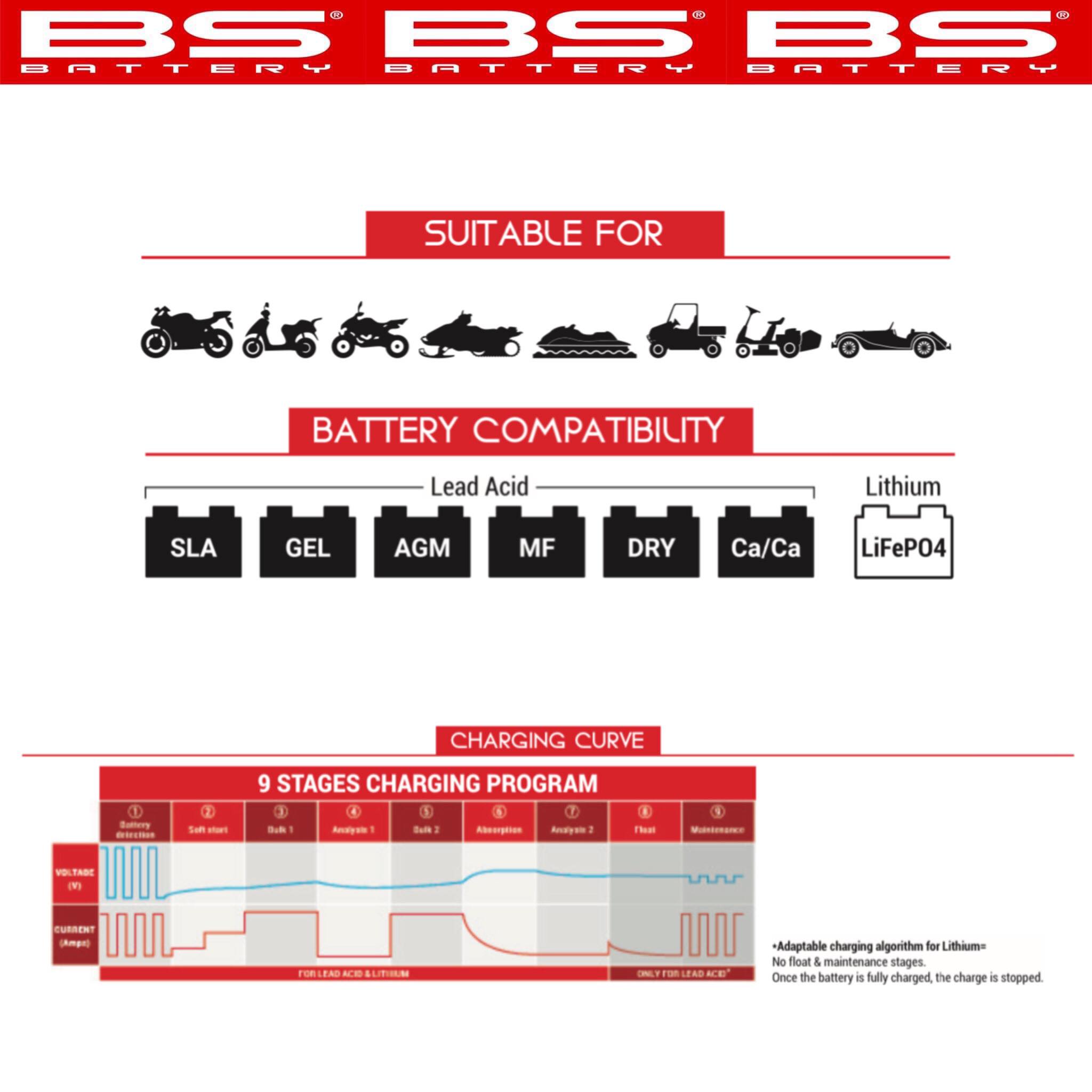 BS BATTERY CHARGER (BS 10) - Image 7